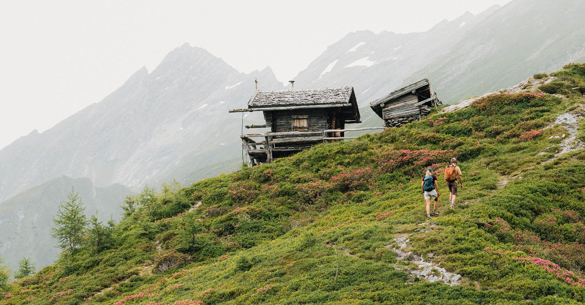 gaestehaus-fischer-schoeberspitzen-bergtour-wandern-schmirn-almrosen-c-tvb-wipptal-johannes-bitter